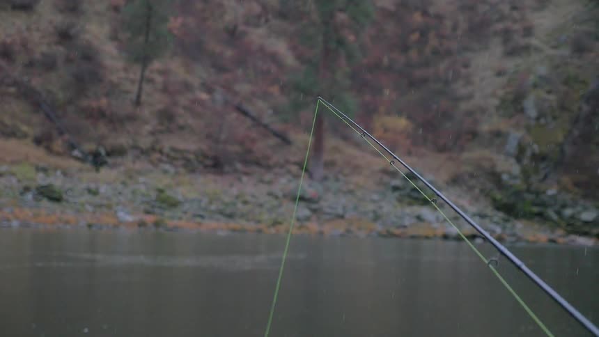 The line is cast in the calm water
