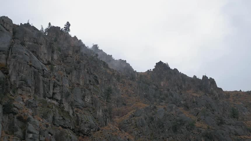 There are trees at the top of this mountain