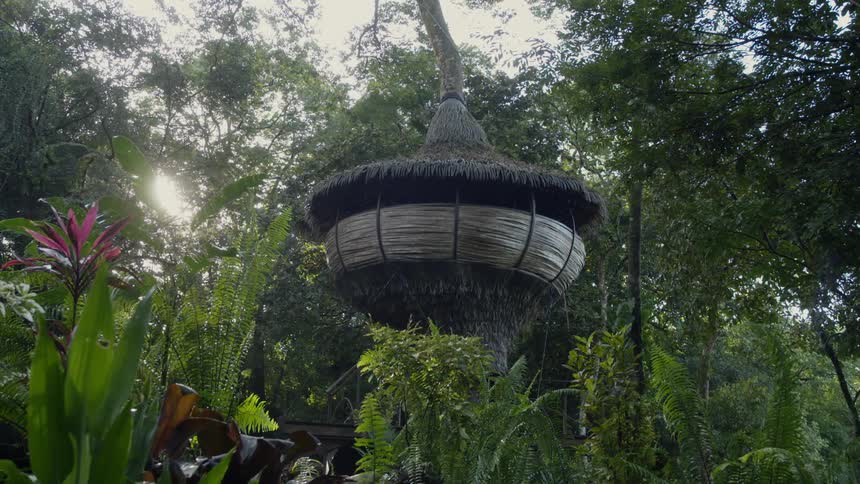 A basket-shaped cottage structure appears to hang in the dense rainforest