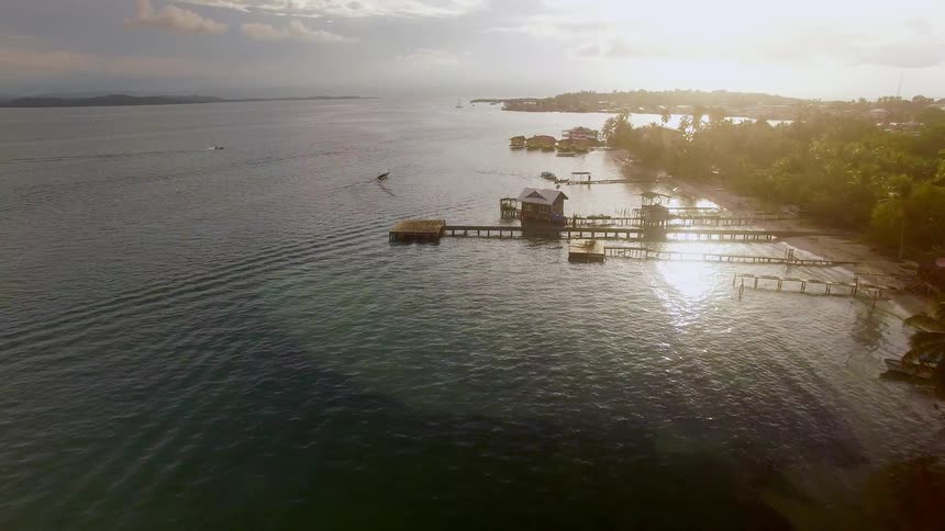 The coast is lined with docks and palm trees
