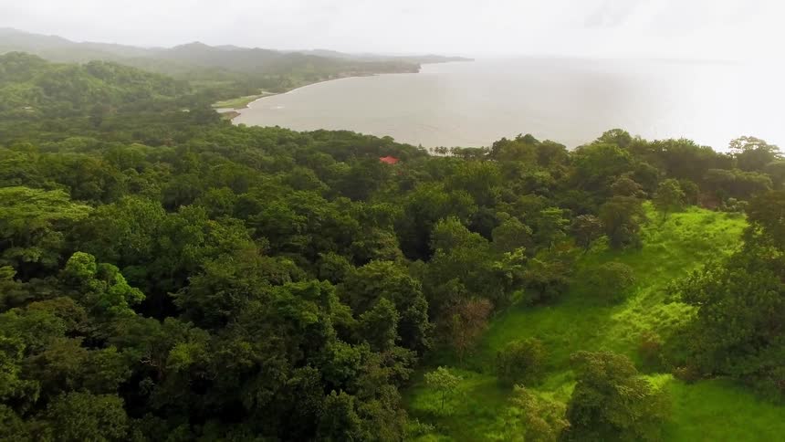 A large rainforest lines the coastline