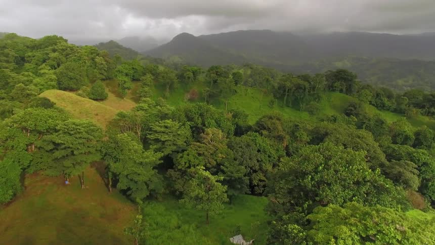 Clouds darken the sky over tree covered green hills