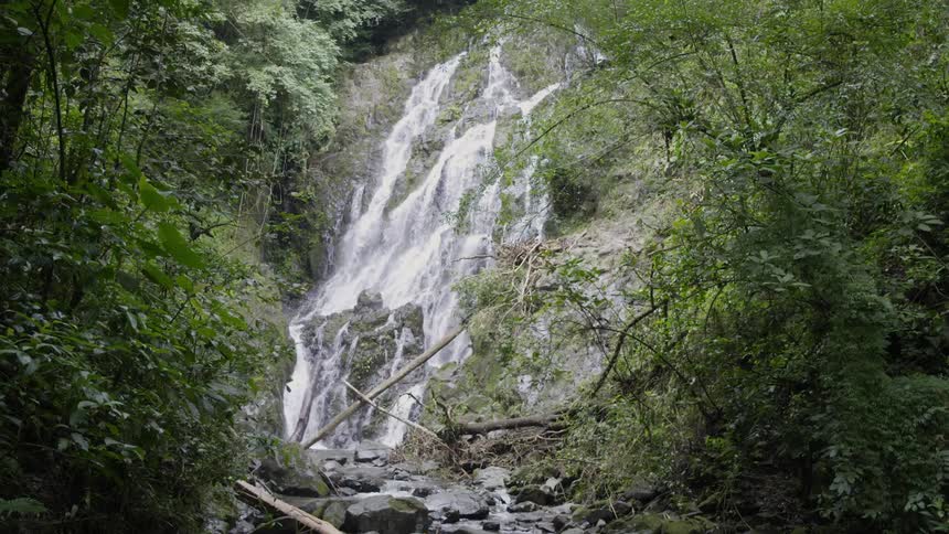 The water pours off the waterfall in the rainforest at El Chorro Macho