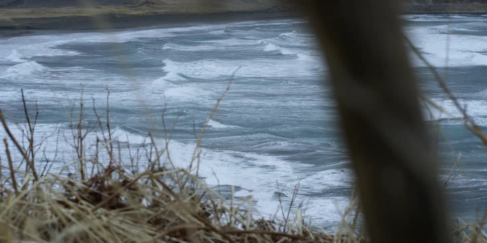 Wind blows through grass on the coast