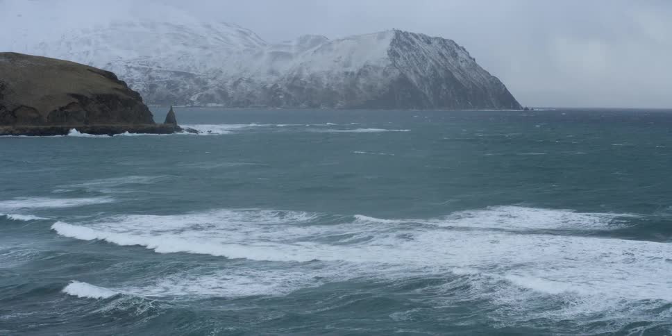 Waves flow towards the wintry shore