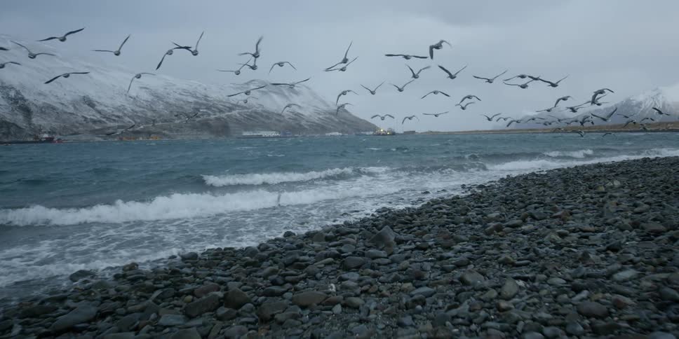 Birds fly over a mountain lake