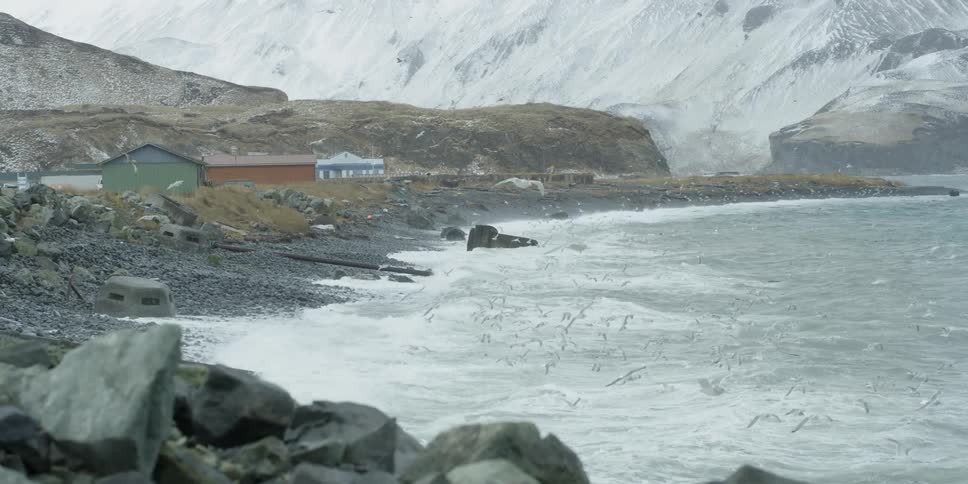 Birds fly over crashing waves in snowy mountains
