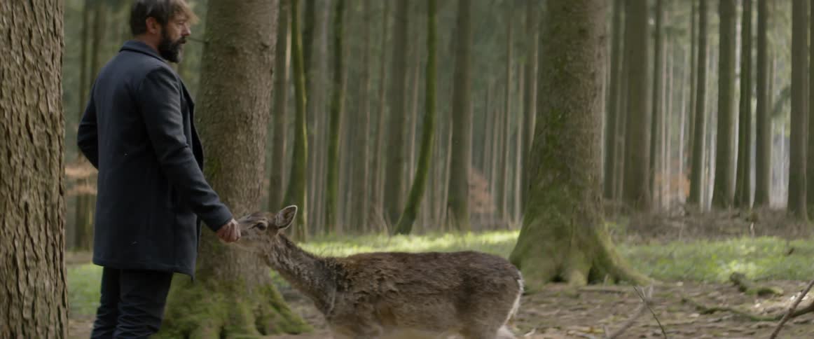 A man feeds a deer in the forest