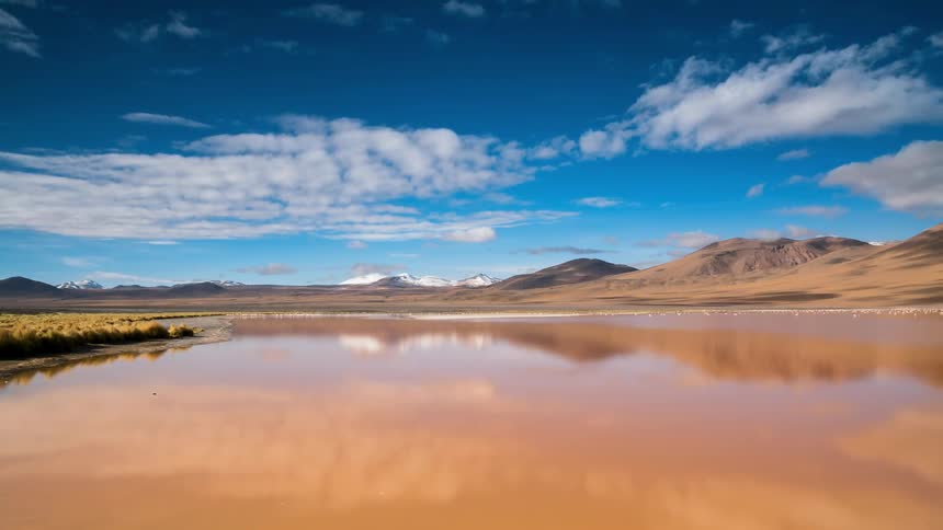 The water is very calm with birds near the shore