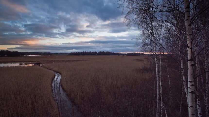 The stream is running through the field