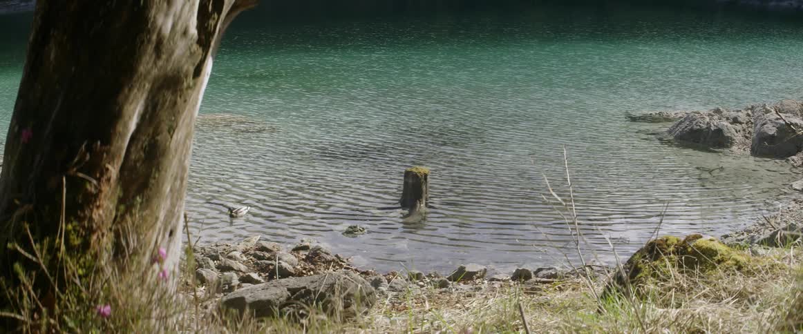 Lake water flows towards the shore