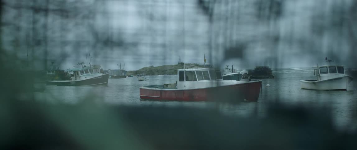 Boats sit docked on the water