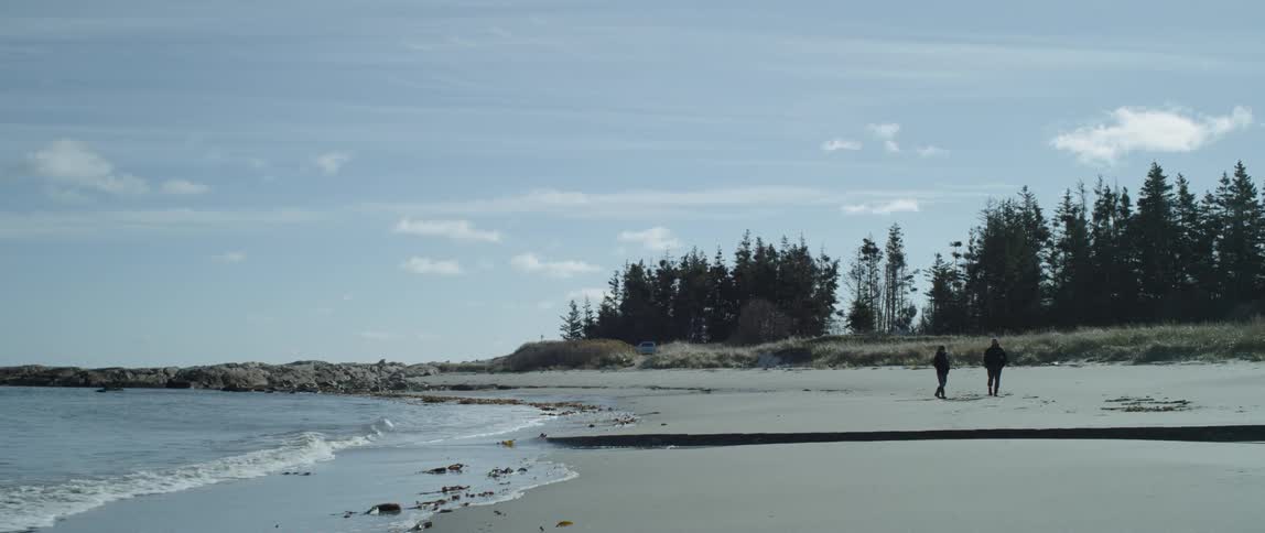 People walk on a beach