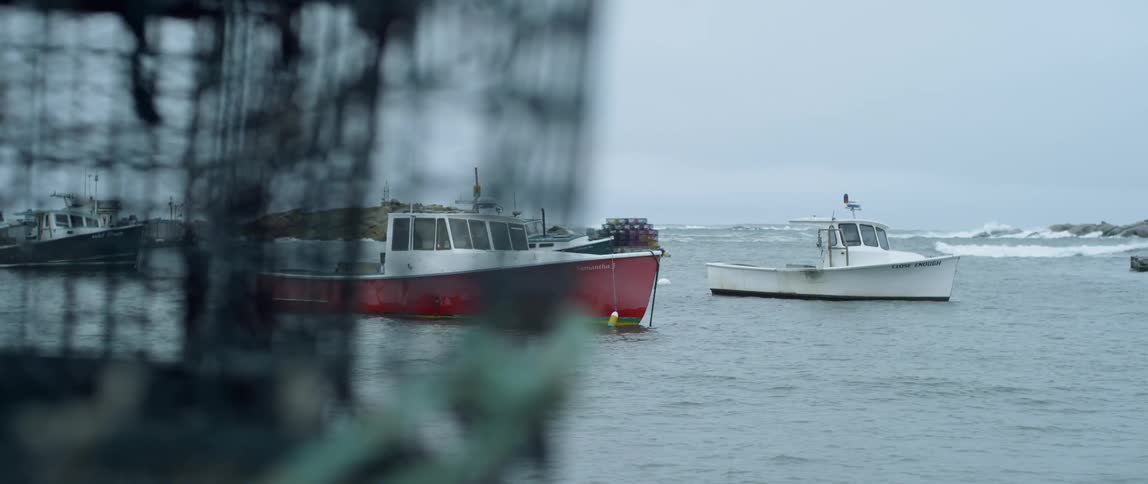 Boats float on the water