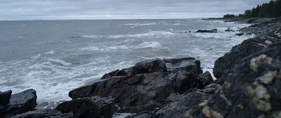 Waves on the shore