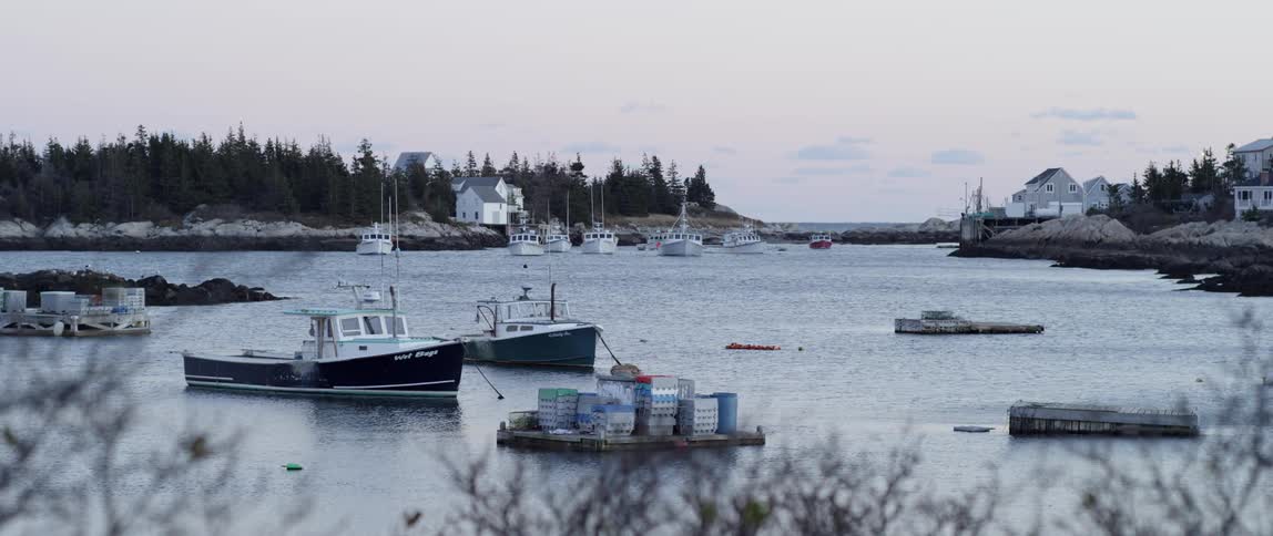 Boats float on the water by the docks