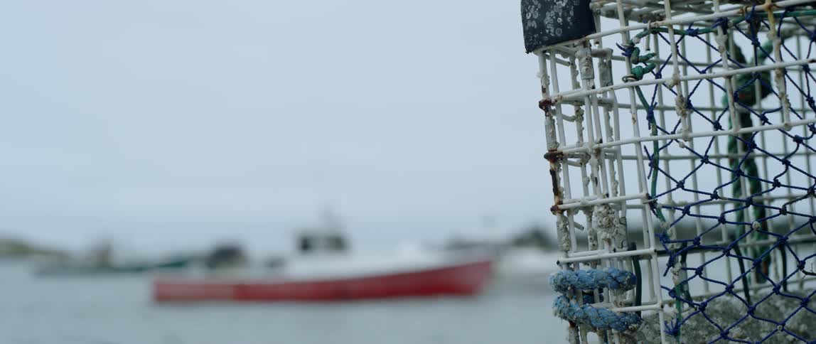 A boat floats on water