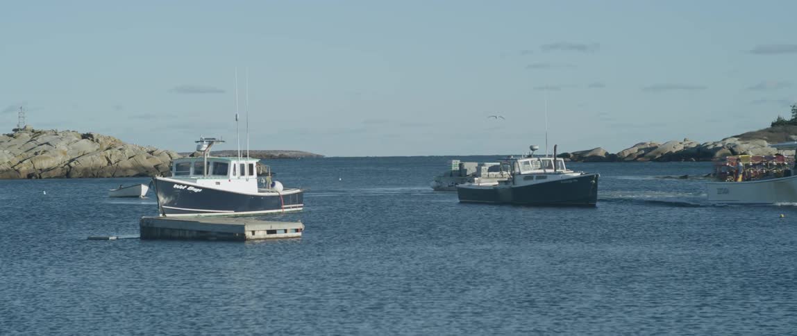 Boats in a bay