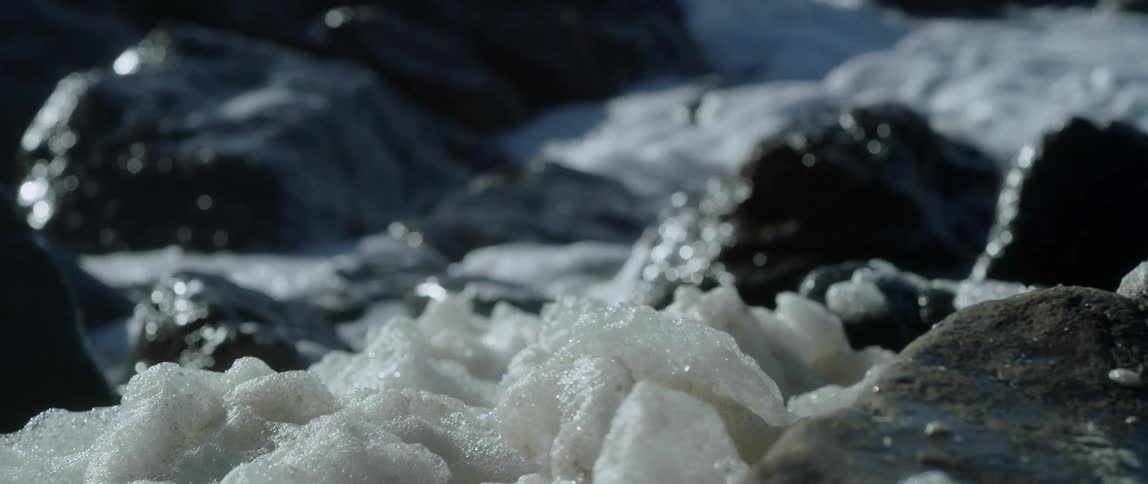 Foam bubbles on a beach