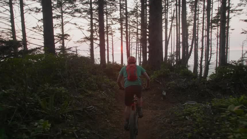 A bicyclist rides in a forest at sunset