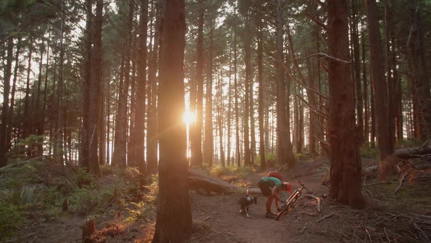 A bicyclist stands in a forest at sunset