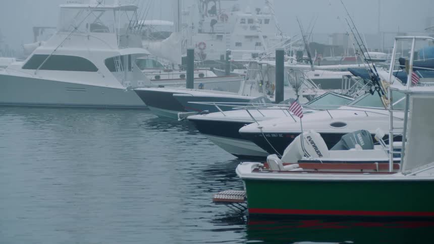 Boats sit docked on the water