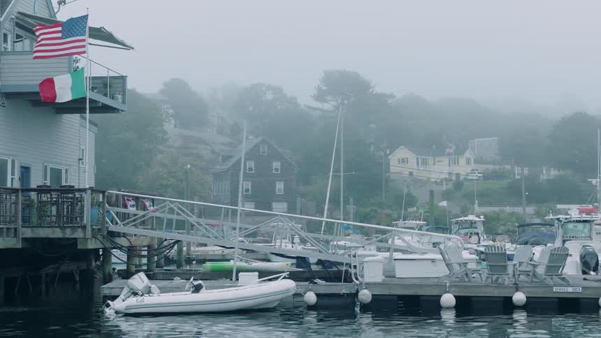Boats float in a marina
