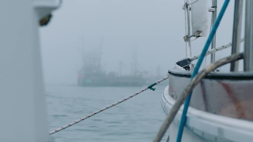 Boat tied to a pole floating on foggy water