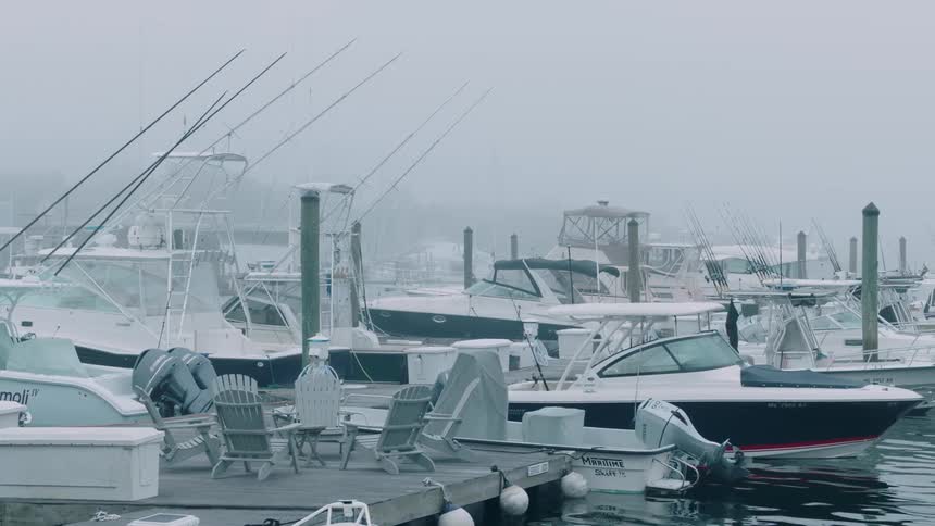 Boats are docked in a marina on a cloudy day
