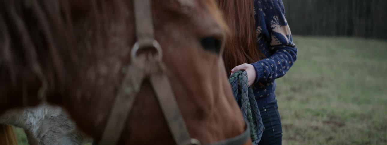 A teenage girl is tending to a horse during the day