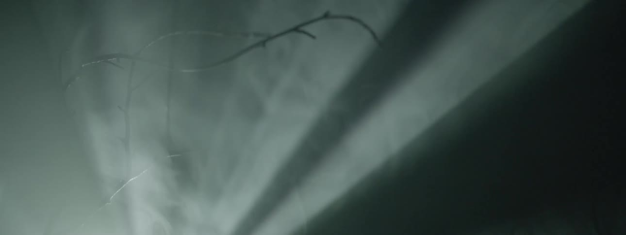 Lights shine through a smoky forest