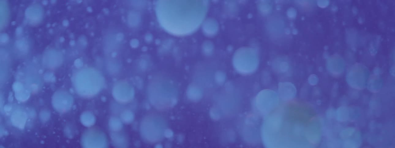 Bubbles float in a blue solution