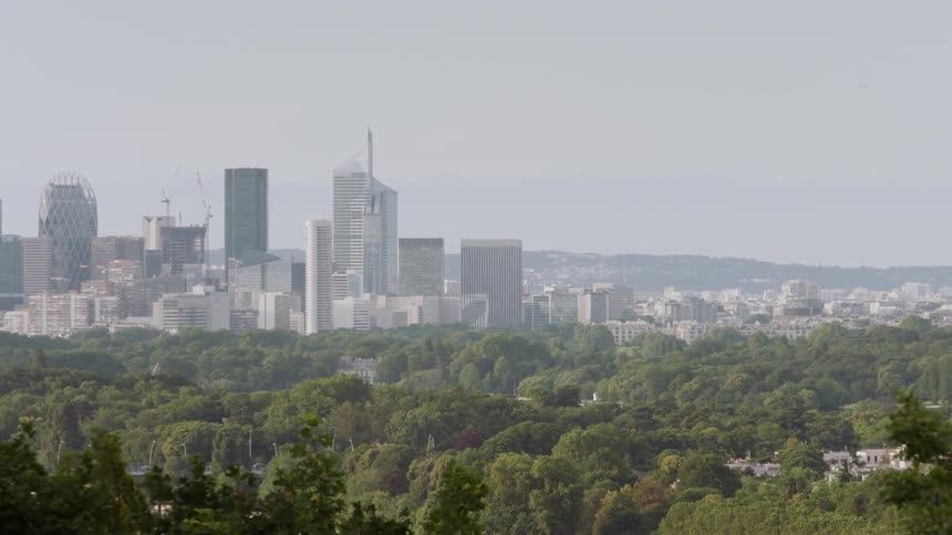 A forested city skyline