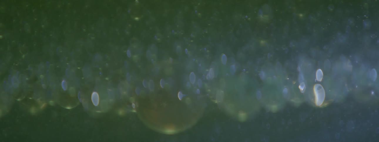 Bubbles are suspended in liquid