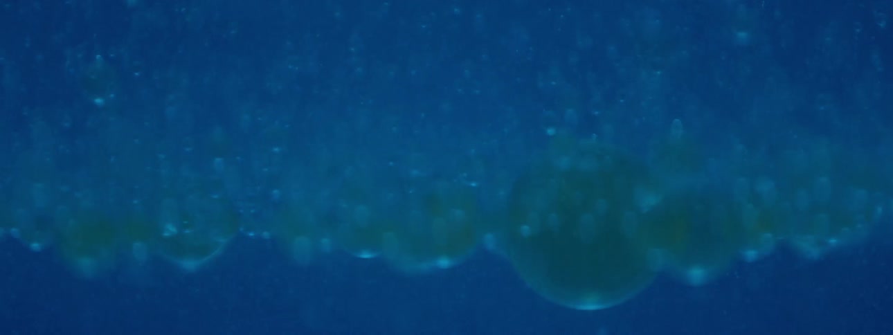 Droplets float in liquid blur and reflect light