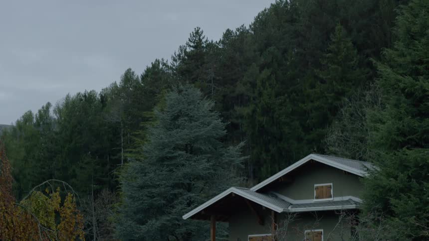 Windows and doors of a house near the forest are boarded shut