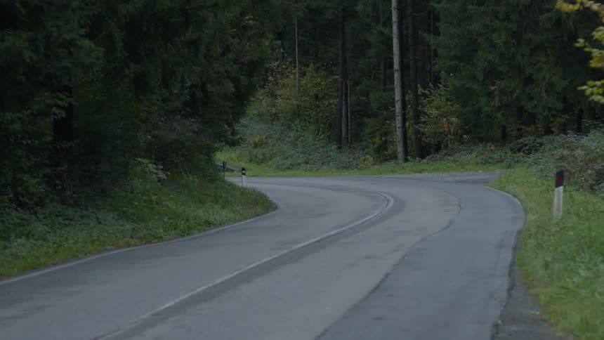 A road winds through a forest