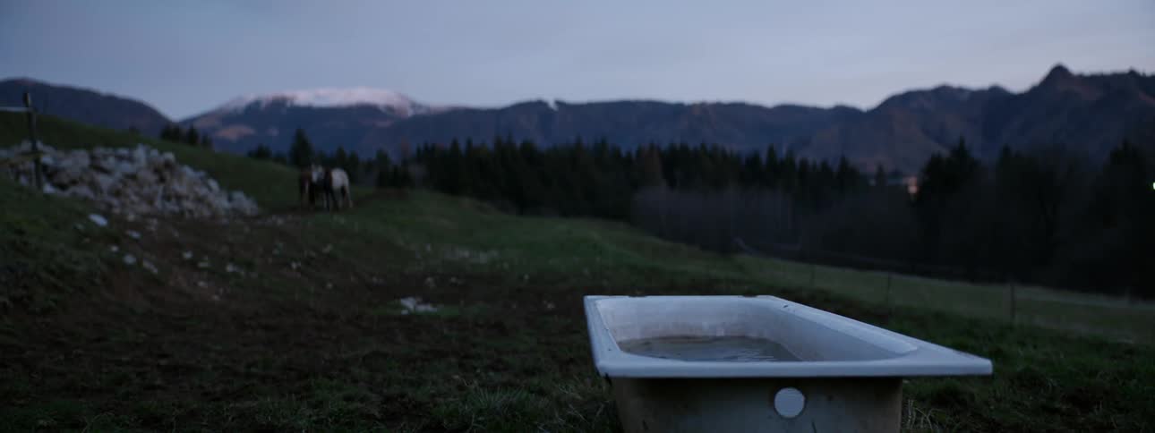 A bathtub sits in a mountain field