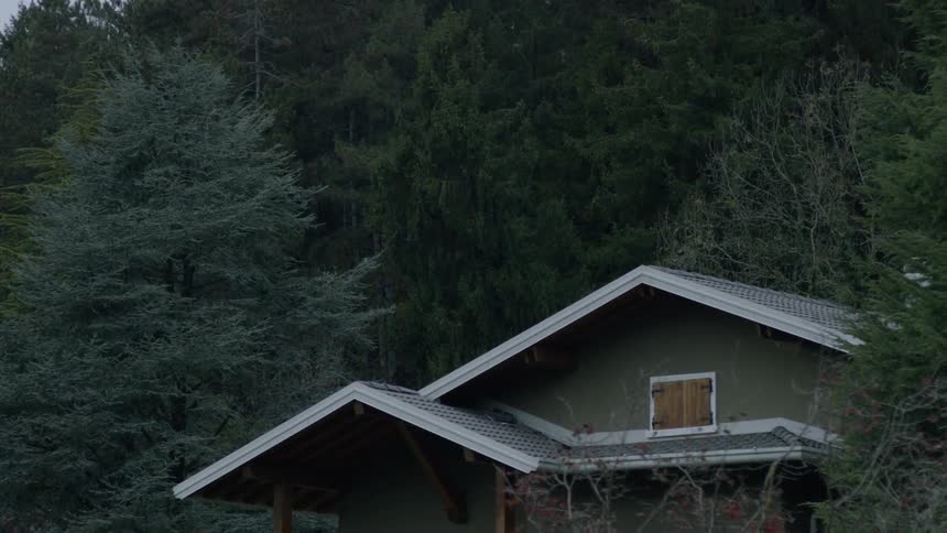 A house is surrounded by trees