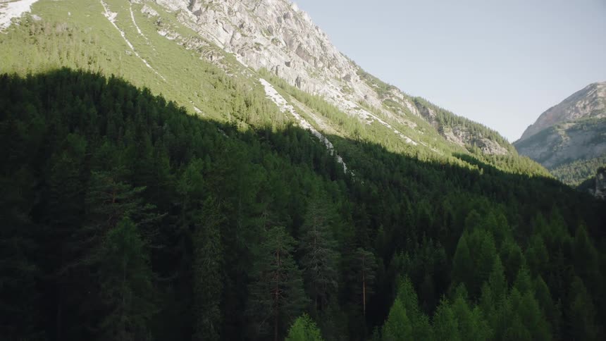 The tall mountain is covered with trees