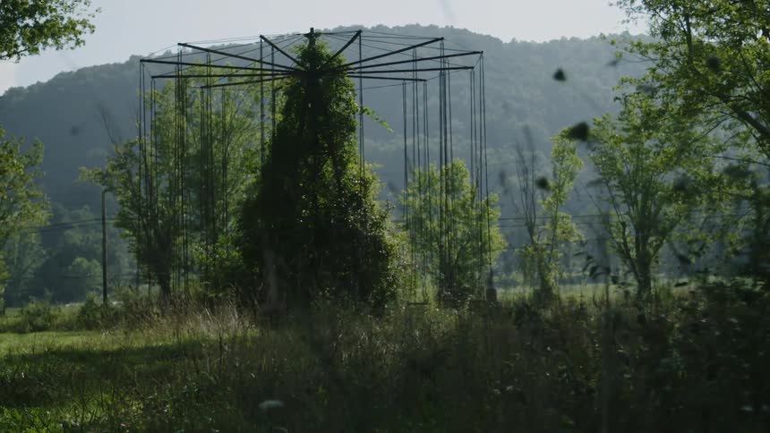 Overgrown abandoned amusement park lead to the green mountain
