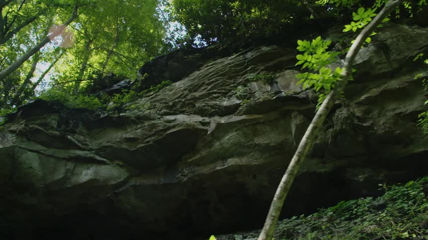 The rocky hill has trees at the top