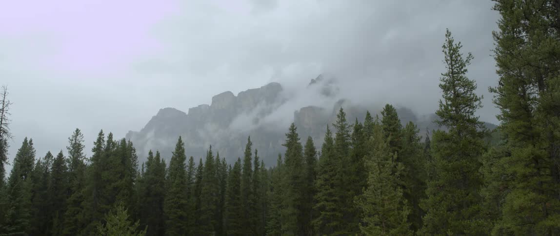 Clouds float over a mountain forest
