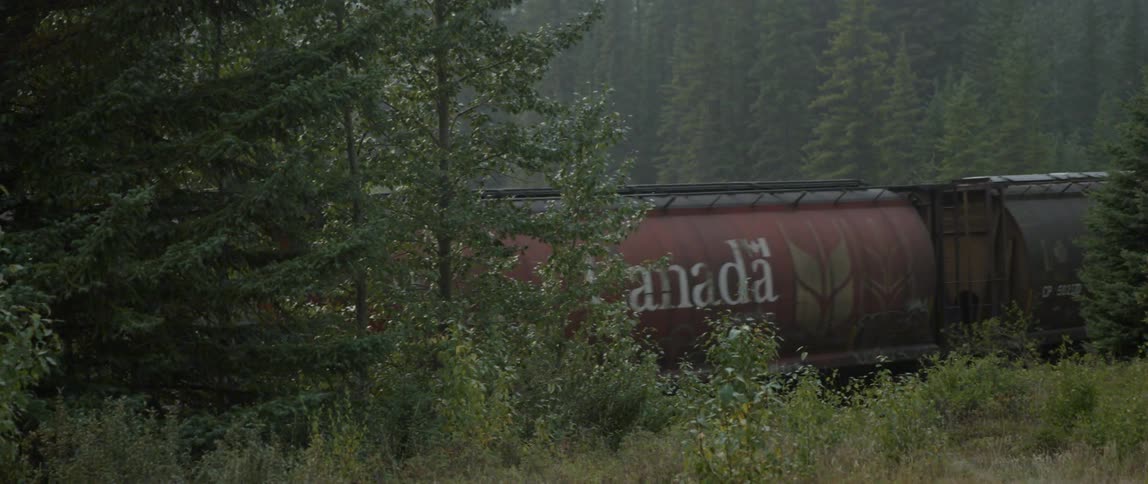 A train travels down the tracks
