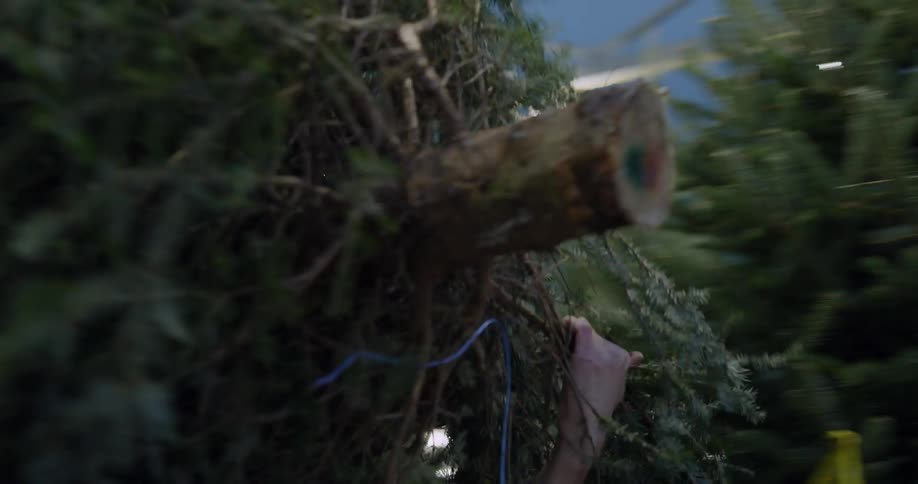 Man carried a christmas tree outside of a tree store