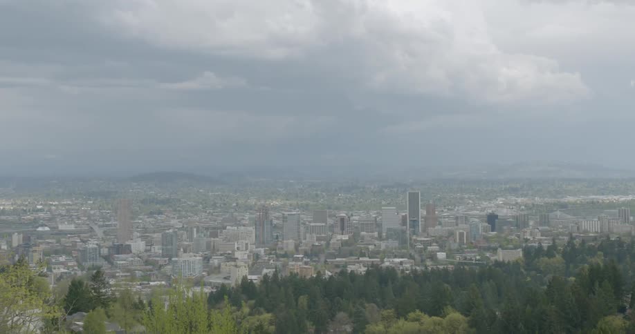 Aerial view of a forest and a city on a cloudy day