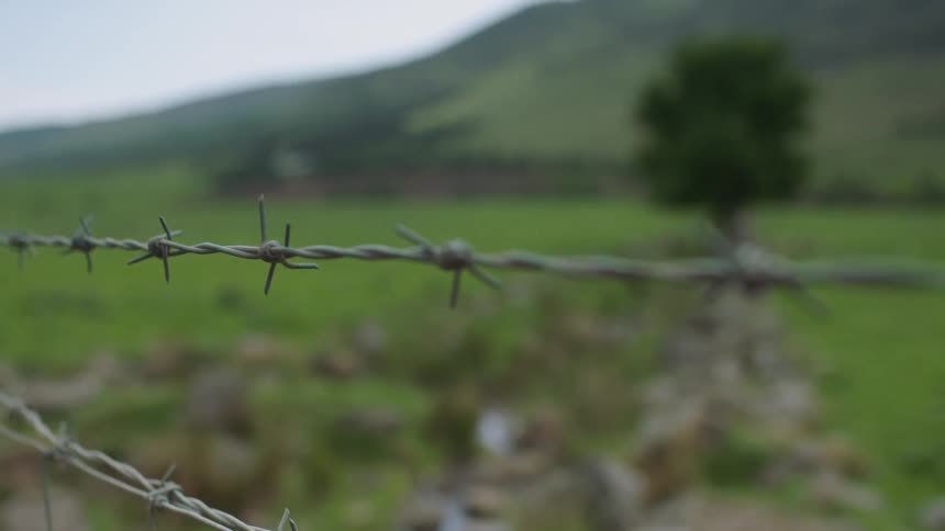 Barbed wire fence against a field with a tree and hills