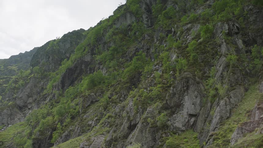 Rocks and foliage cover a mountain ridge