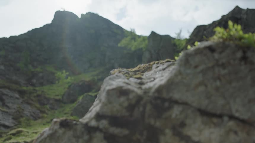 Moss and grass grow on a stone mountain