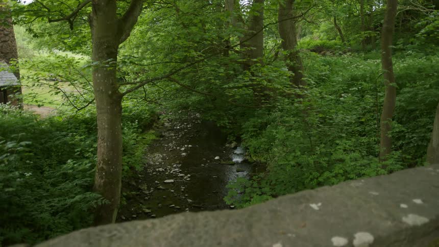 Trees cover over a flowing stream below a stone bridge